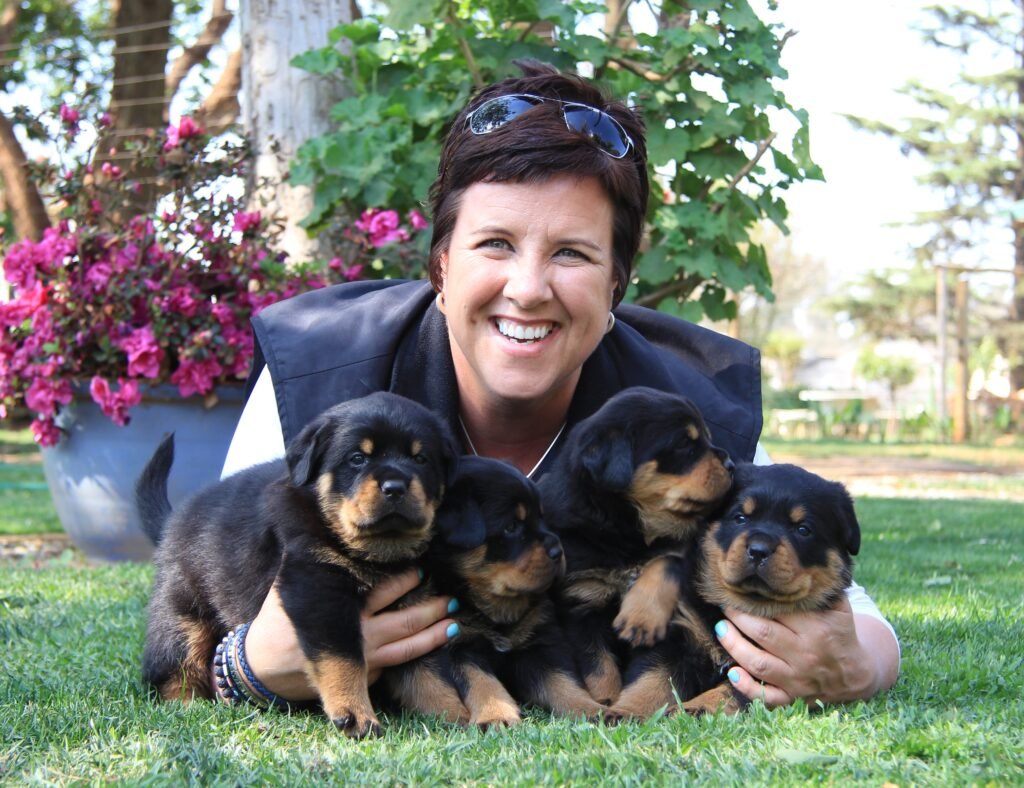 Welpen & Junghunde bis 1.5 Jahre